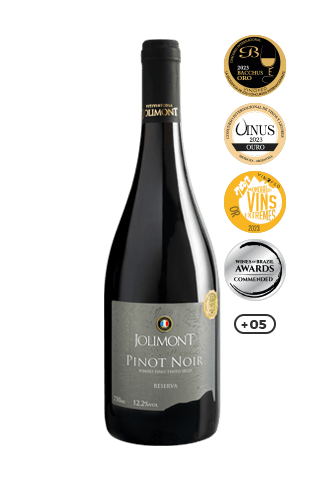 Vinho Tinto Seco Pinot Noir Reserva