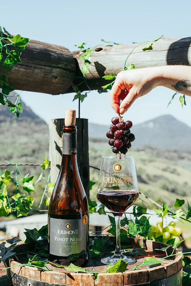 Vinho Tinto Seco Pinot Noir Reserva